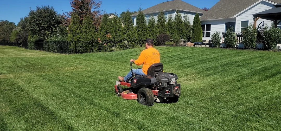 Amorello Lawncare & Landscaping - Landscaping and Lawn Care services in Union