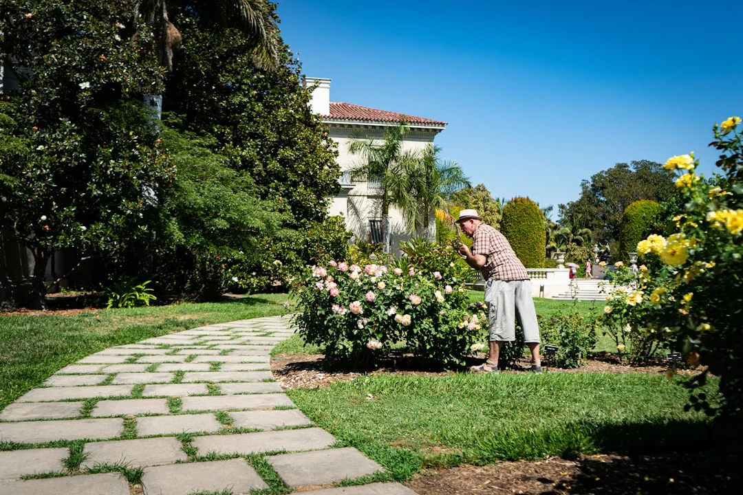 Gary Anderson Landscaping, Inc. - Landscaping and Lawn Care services in Ham Lake