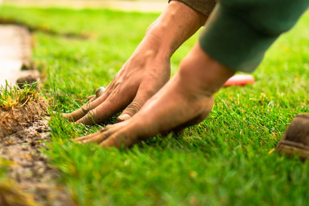Hernandez Lawnscape LLC - Landscaping and Lawn Care services in Baton Rouge