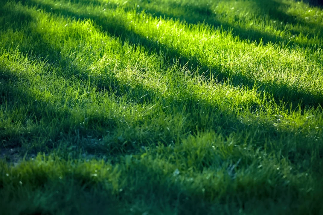 Friesen Landscaping - Landscaping and Lawn Care services in Lincoln