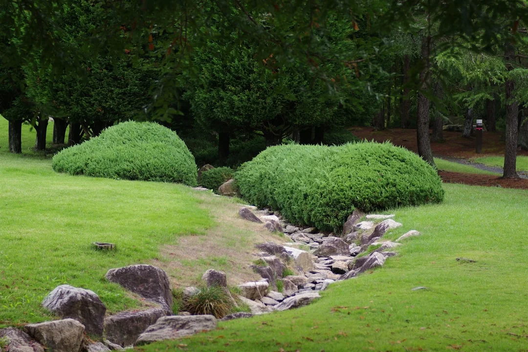 Lincoln Landscaping Co. - Landscaping and Lawn Care services in Roca
