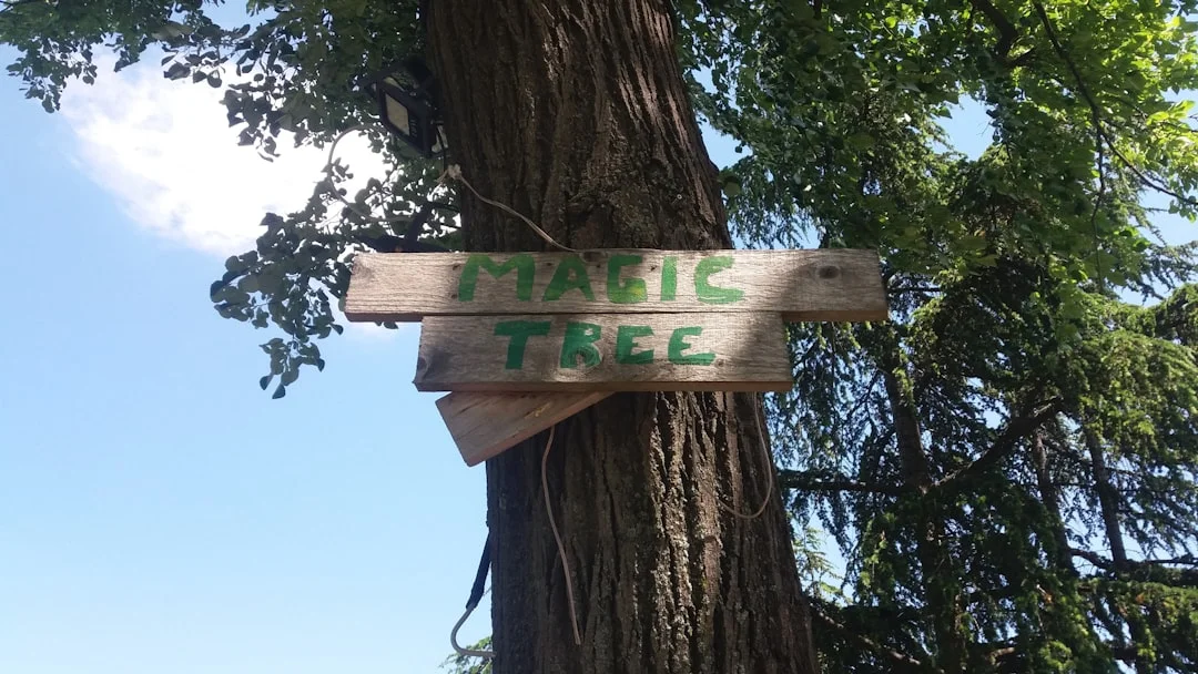 Pro Cut Tree Service & Land Clearing LLC - Tree Trimming and Removal services in Lyndon Station