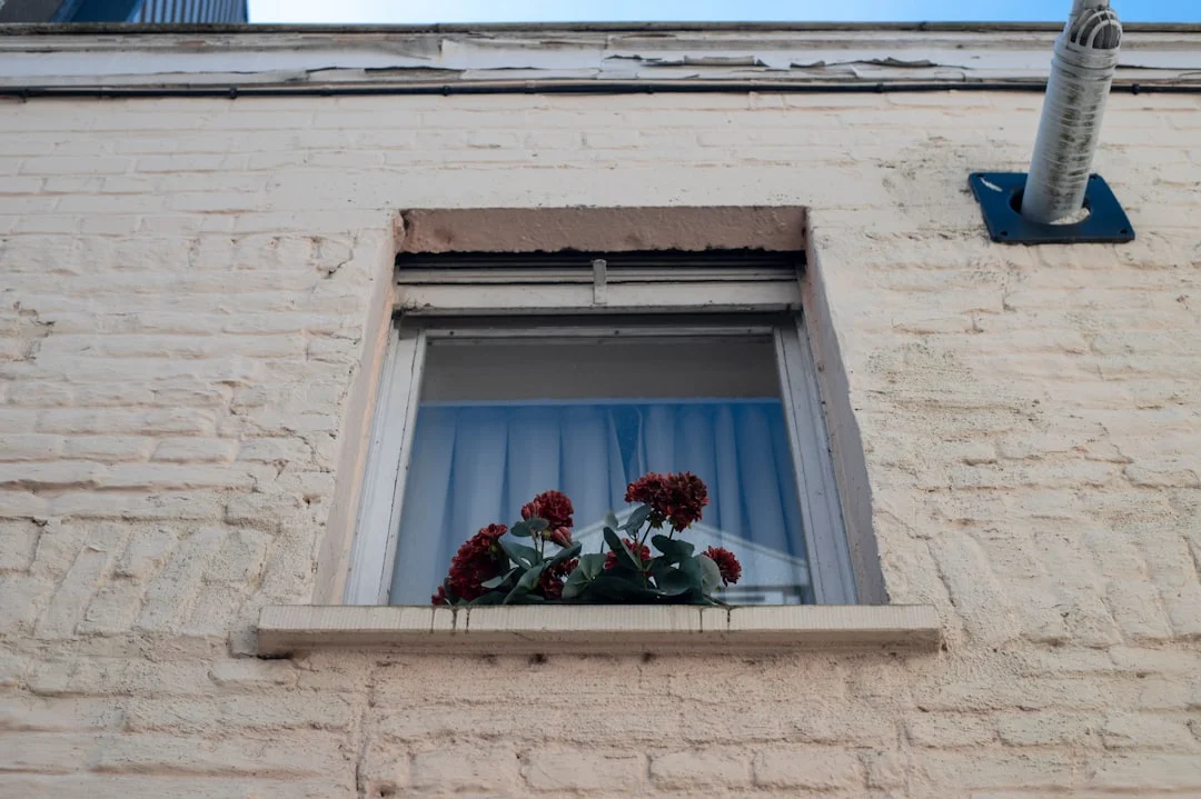 Sky View Windows and Doors LLC. - Window and Door Installation services in Las Vegas